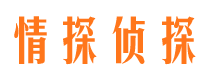 集安市私家侦探